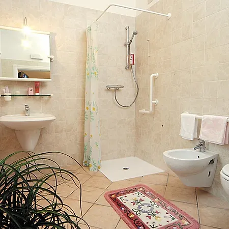 Provenzale Torre Pellice